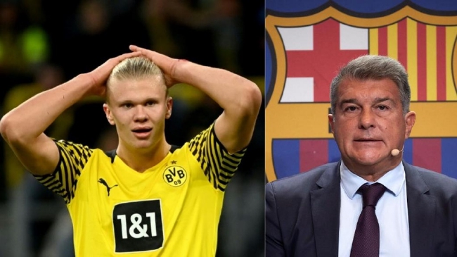 伦敦奥运马术冠军与爱马同日安乐死：二十载相伴书写辉煌传奇